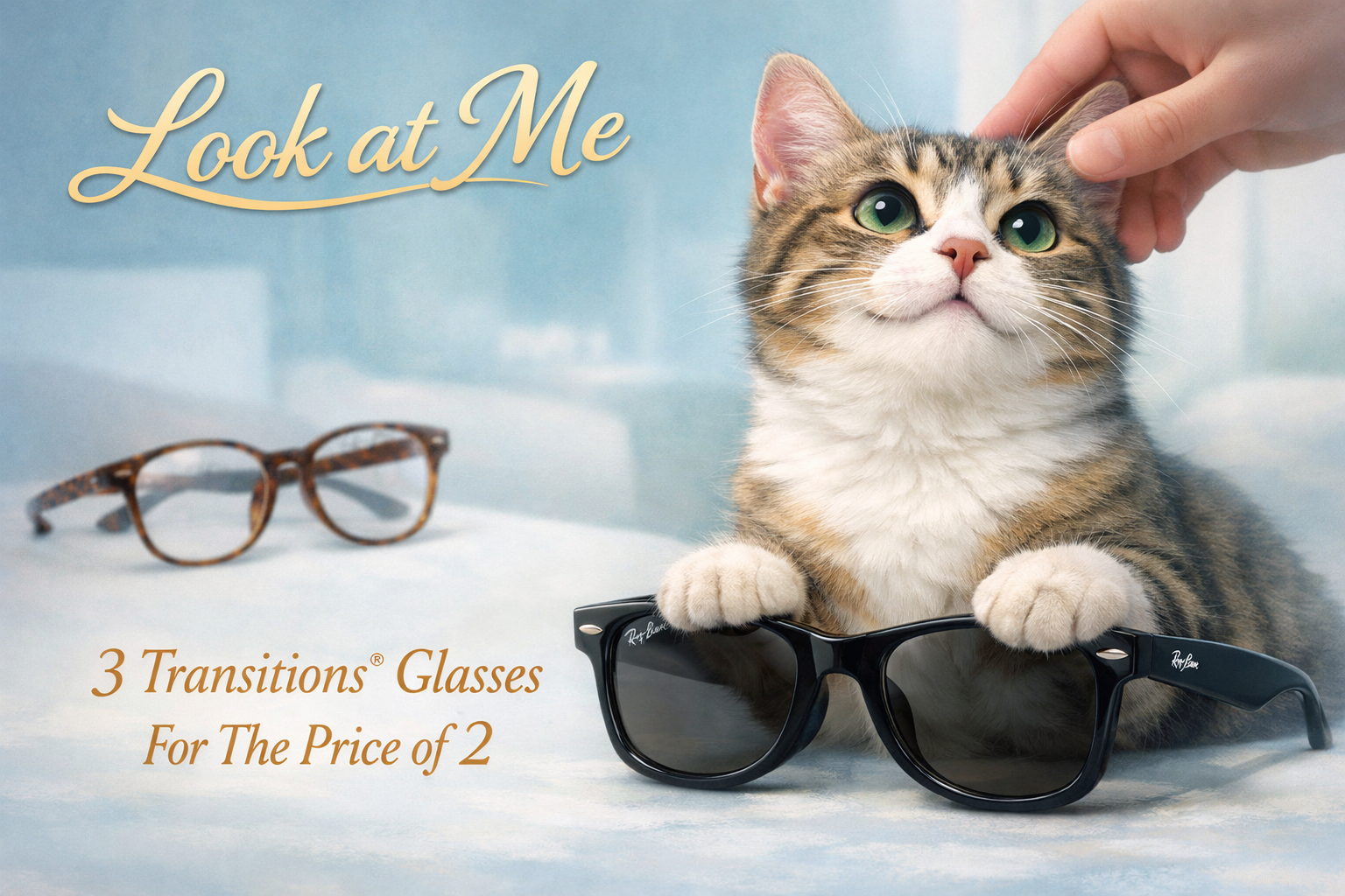 Promotion: 3 transitions glasses for the price of 2